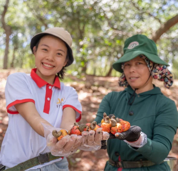 Datfoods Cashew Butter Smooth