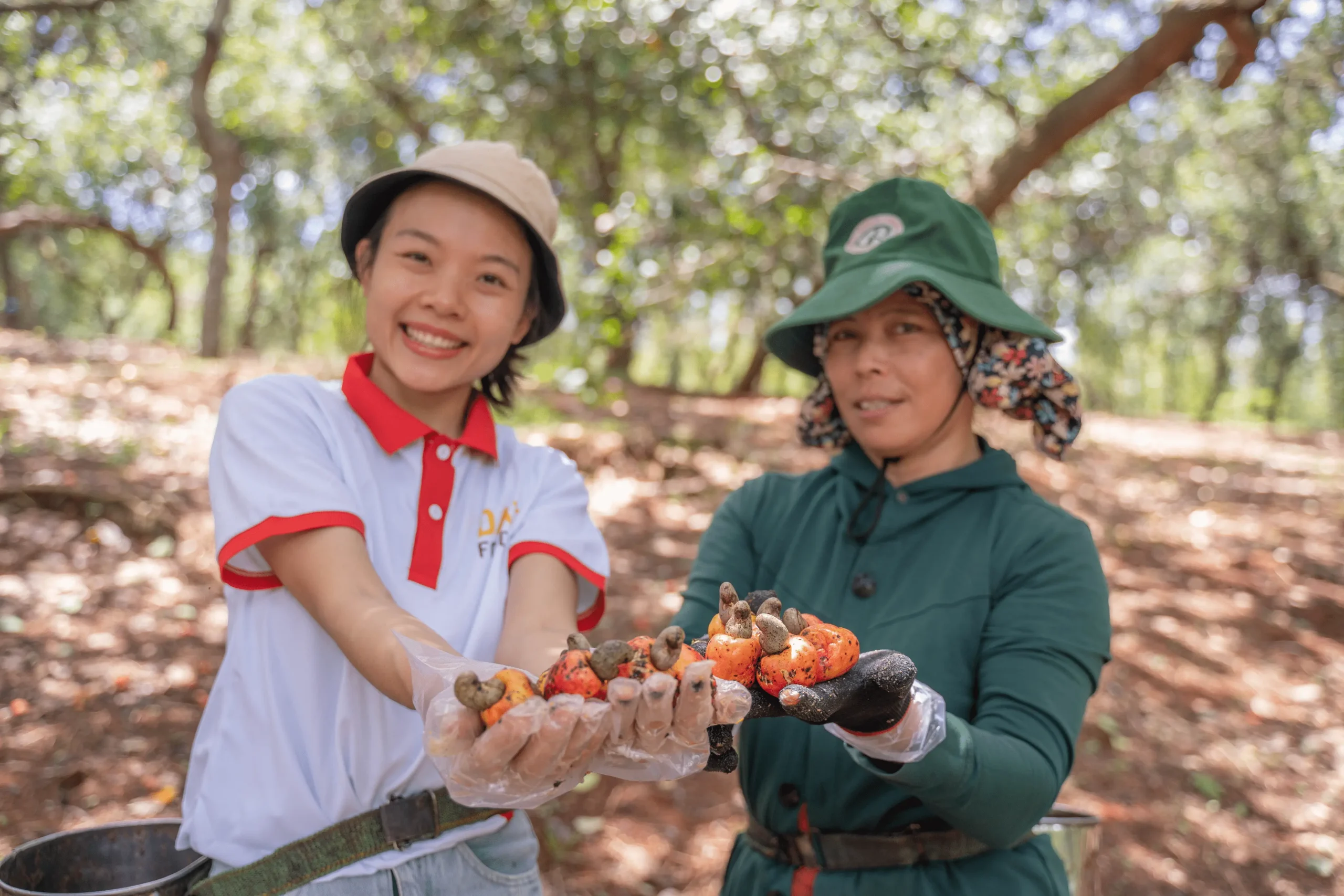 Sustainability in food production