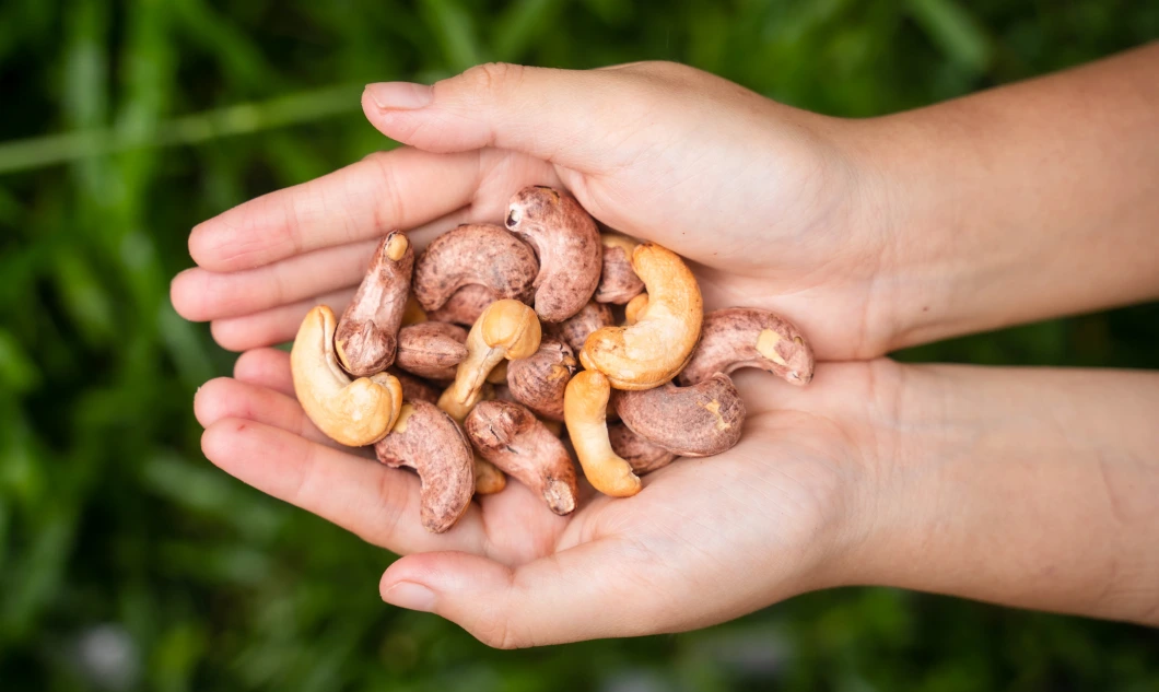 Behind the Scenes: How Dat Nut Butters & Milks Are Made